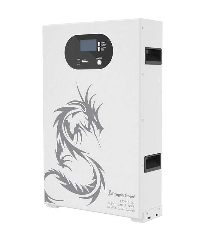 LFP51.2-100 51.2V100AH